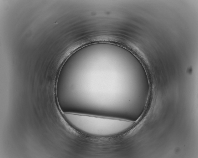 X0000091081033200708061041