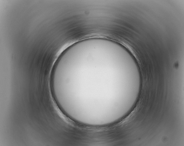 X0000091081034200708061041
