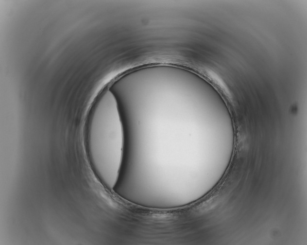 X0000091081035200708061041