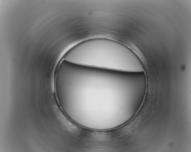 X0000091081036200708061041