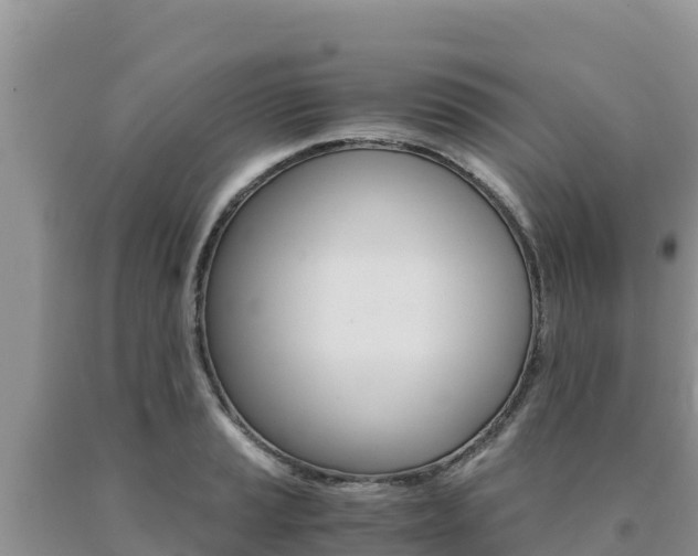 X0000091081037200708061041