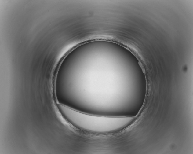 X0000091081038200708061041