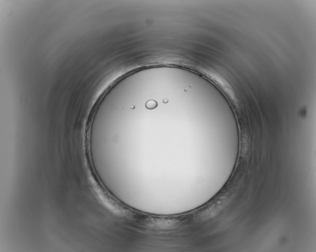 X0000091081039200708061041