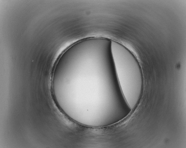 X0000091081040200708061041