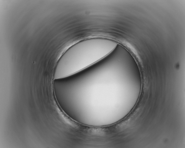 X0000091081041200708061041