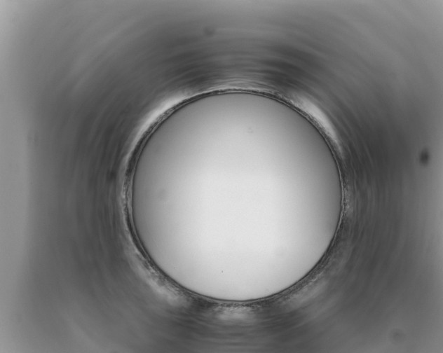 X0000091081043200708061041