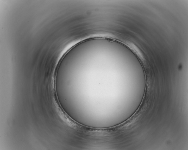 X0000091081044200708061041