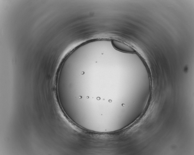 X0000091081045200708061041