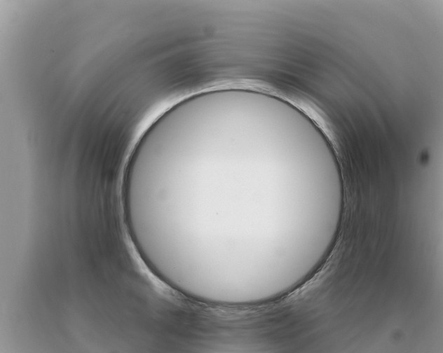 X0000091081046200708061041