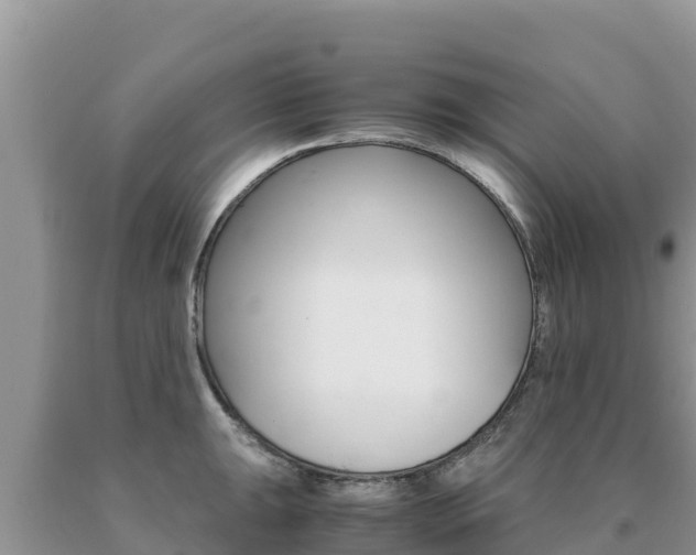 X0000091081047200708061041