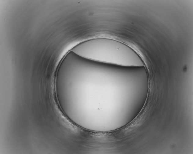X0000091081048200708061041