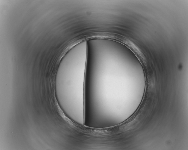 X0000091081049200708061041
