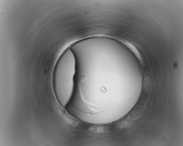 X0000091081051200708061041