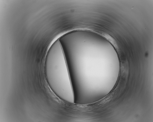 X0000091081052200708061041