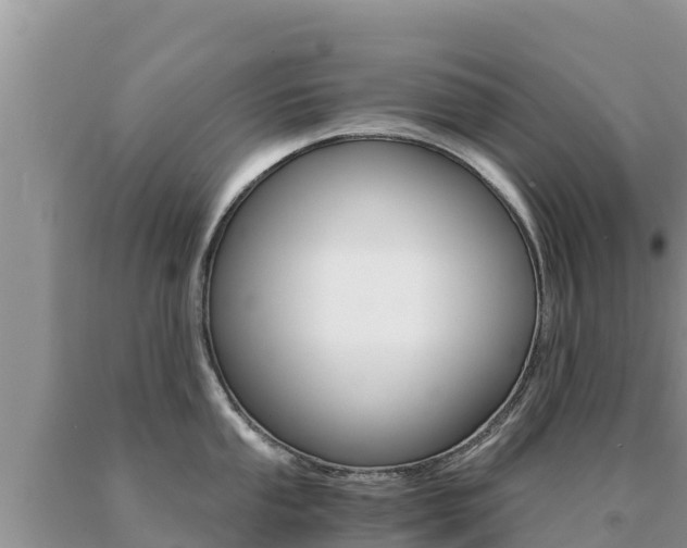 X0000091081053200708061041