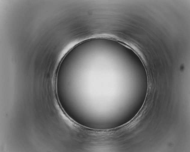 X0000091081054200708061041