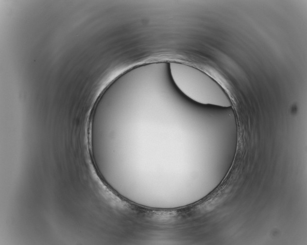 X0000091081055200708061041