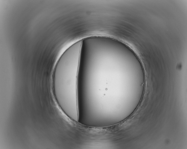 X0000091081056200708061041