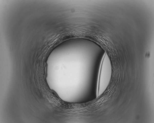 X0000091081057200708061040