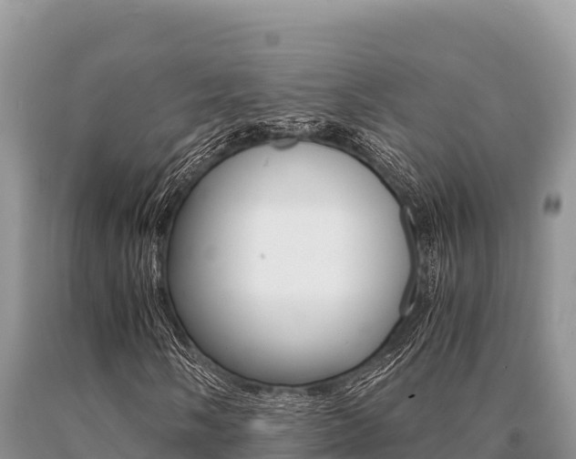 X0000091081058200708061040