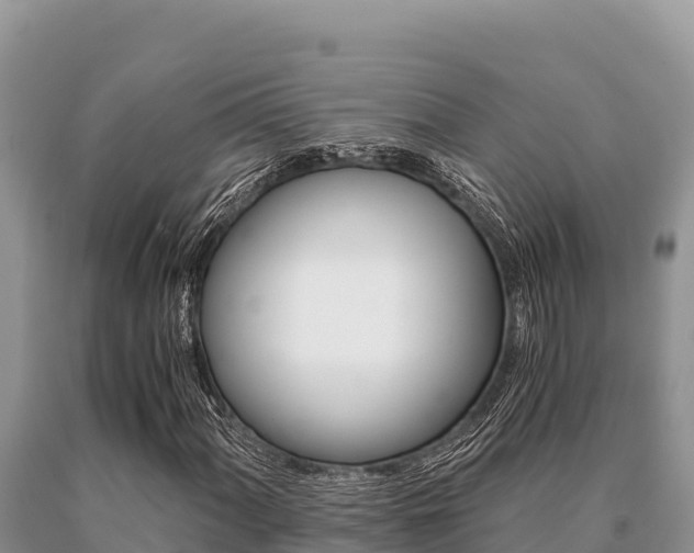 X0000091081060200708061040