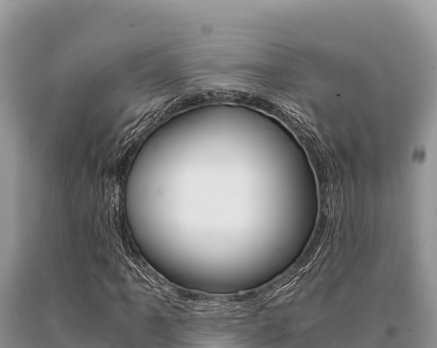 X0000091081061200708061040