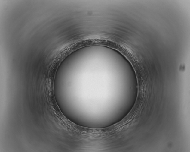 X0000091081062200708061040