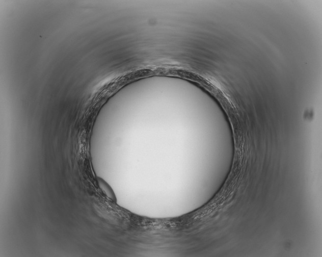 X0000091081063200708061040