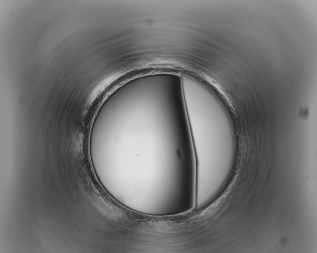 X0000091081066200708061040