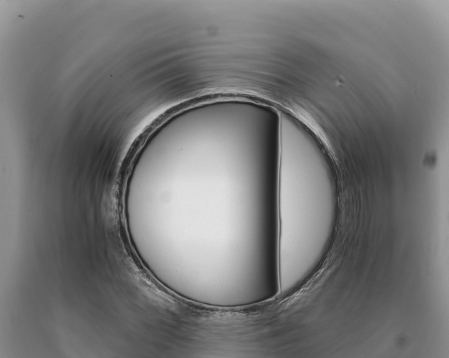 X0000091081068200708061040