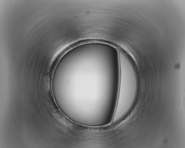 X0000091081069200708061040