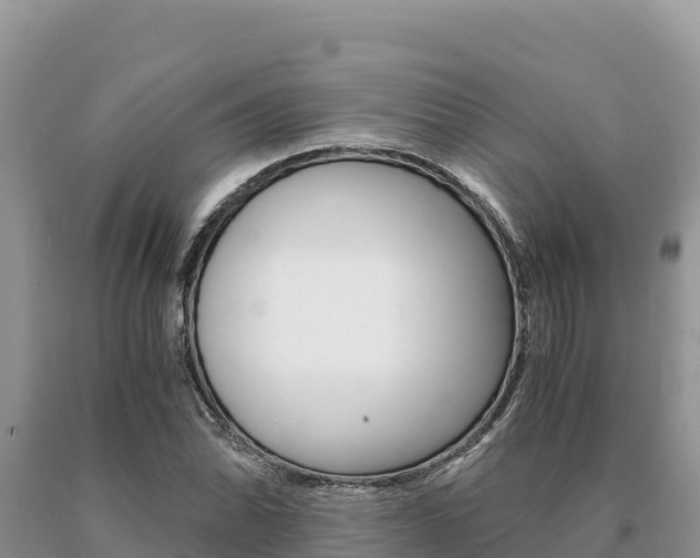 X0000091081070200708061040
