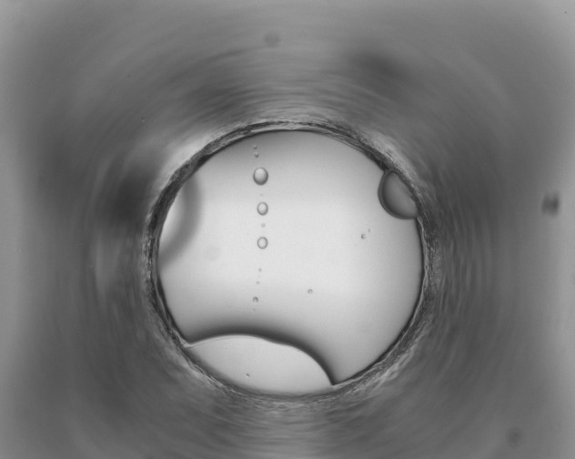 X0000091081071200708061040