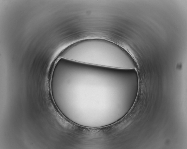 X0000091081072200708061040