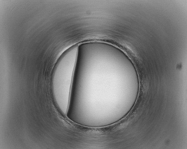 X0000091081073200708061040