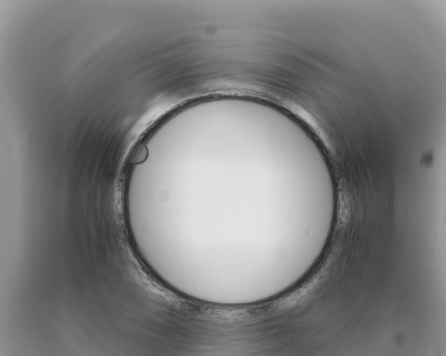 X0000091081074200708061040