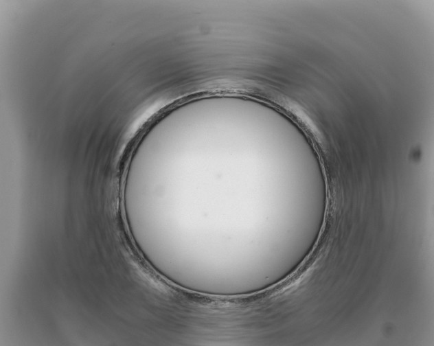 X0000091081075200708061040