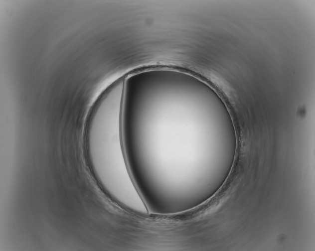X0000091081077200708061040