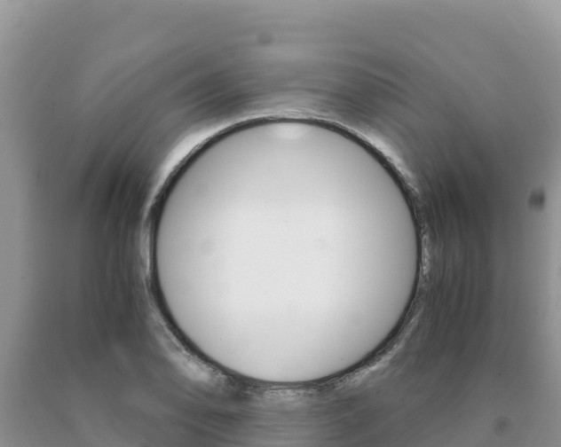 X0000091081078200708061040