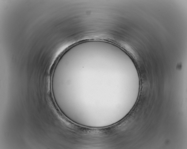 X0000091081079200708061040