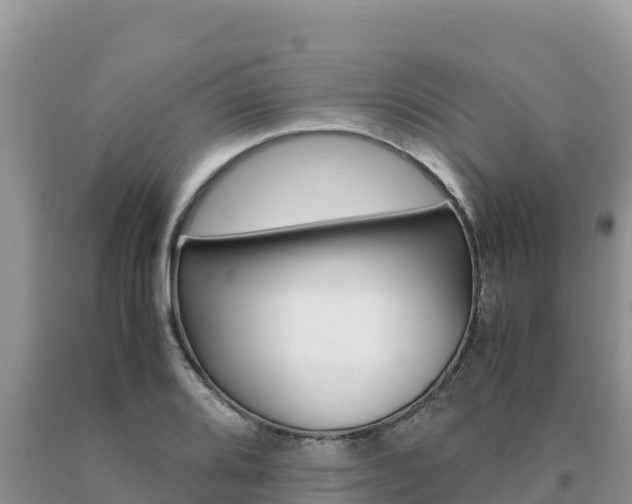 X0000091081080200708061040