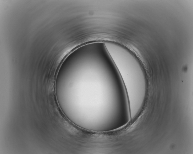 X0000091081081200708061040