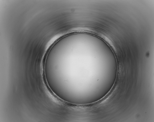 X0000091081082200708061040