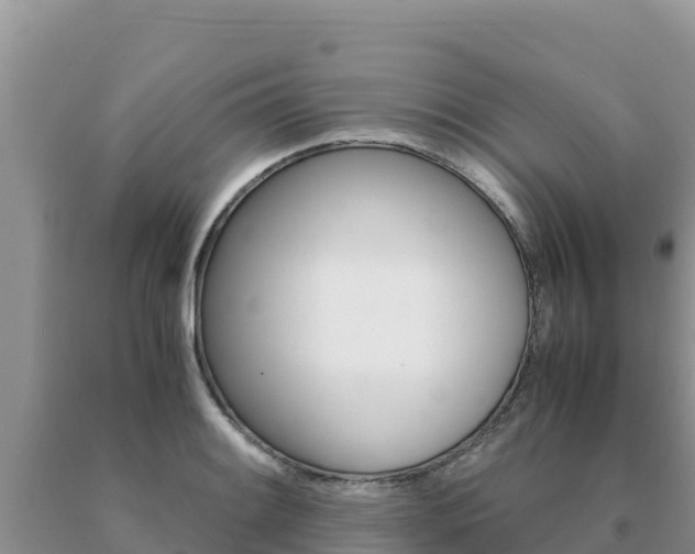 X0000091081084200708061040