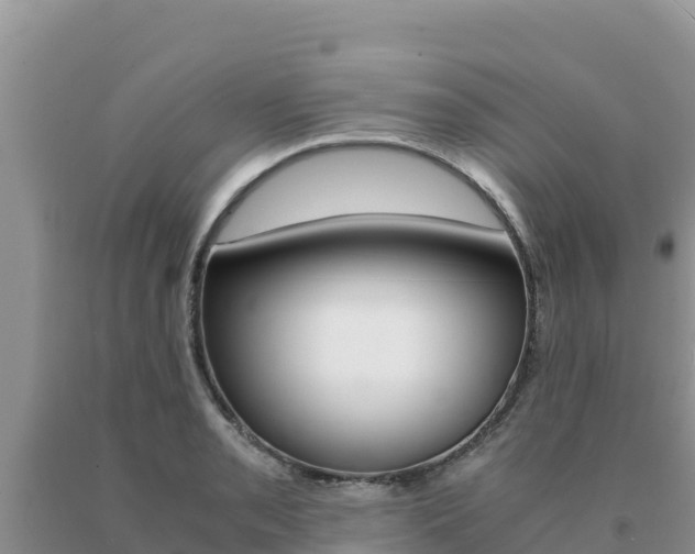 X0000091081085200708061040