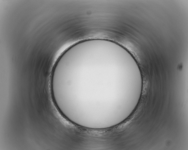 X0000091081086200708061040