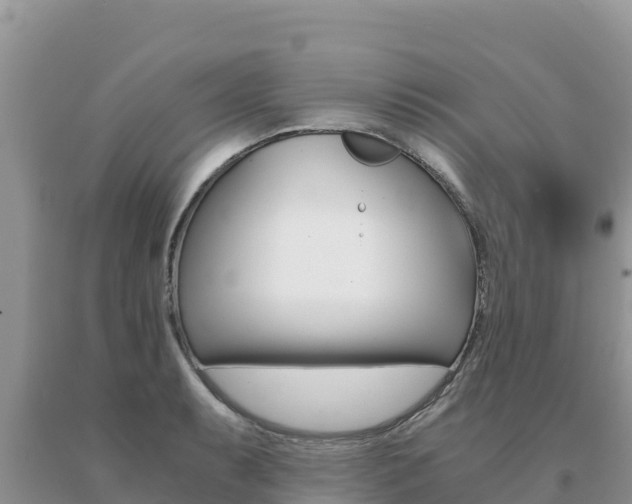 X0000091081087200708061040