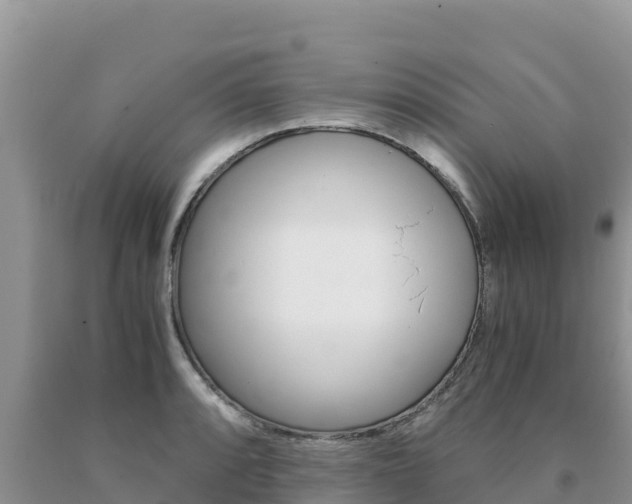 X0000091081088200708061040