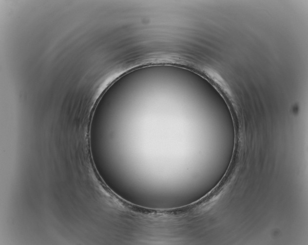 X0000091081089200708061040