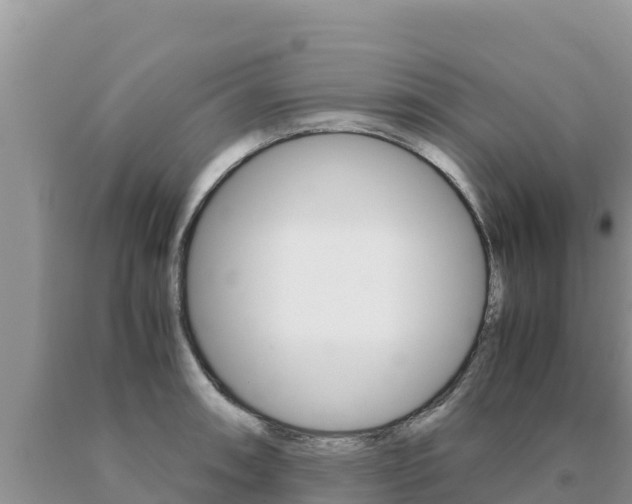 X0000091081090200708061040